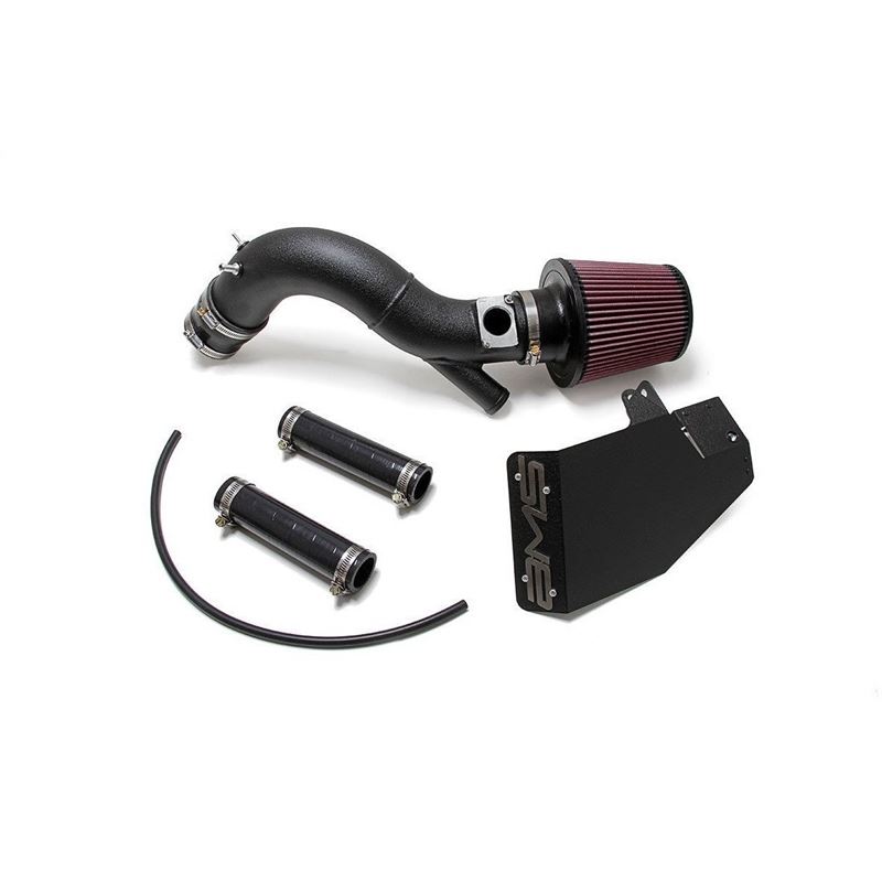 AMS Performance Intake w/Breather Bung - Black | 2